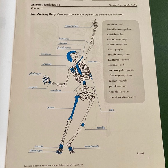 Abeka 4th grade Health and Science Teacher Keys - Picture 4 of 7